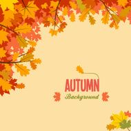 Autumn background with leaves N46