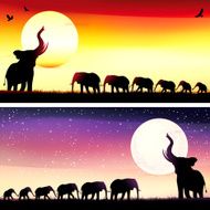 African Elephants silhouettes safari set N2