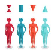 Female body shapes - four types N2
