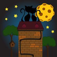 black cat under moon