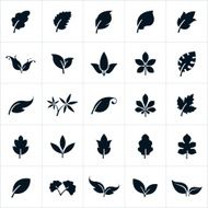 Leaf set N3