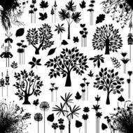 Trees and plants N8