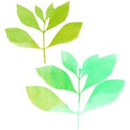 Two watercolor leaves
