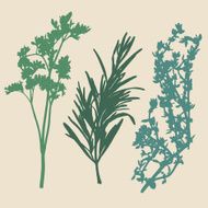 Parsley Rosemary &amp; Thyme Sprigs