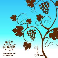 The grape vine background