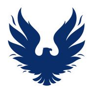 Eagle N33