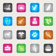 Multicolor Icons - Veterinary