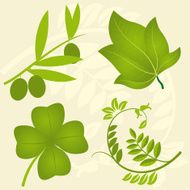 Leaf set N4