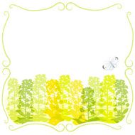 Framed Canola flower silhouettes and a butterfly
