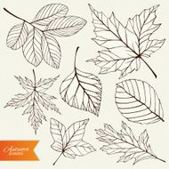 Vector set of autumn leaves silhouettes N3