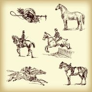 Hand drawn vector horses