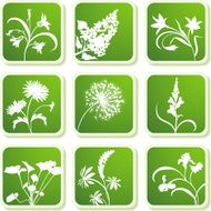 Summer flowers icons