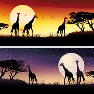 African Giraffes silhouettes safari illustrations set N2