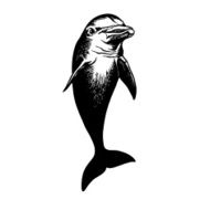 dolfin N3