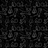 Cat background N3