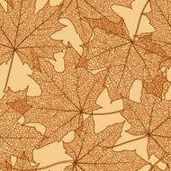 Autumn seamless pattern N91