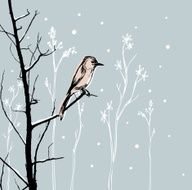 Blizzard Bird