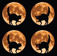 Halloween Cat with Full Moon