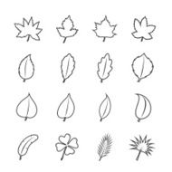 Leaf icon set line design