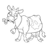 Cute vector cow