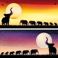 African Elephants silhouettes safari illustrations set