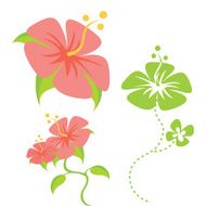 Cartoon hibiscus Flower Design Elements
