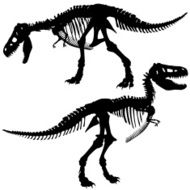 T Rex Skeleton N7