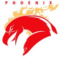 Phoenix Vector N3