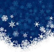 Snowflakes N102
