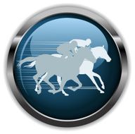 horse racing label N3