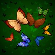 Flying butterflies N5