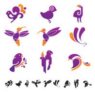 set of birds N3