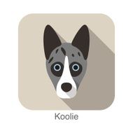 Koolie dog face portrait flat icon design