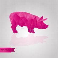 Triangular Pig