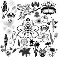 Flowers N384