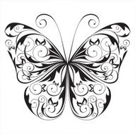 Black And White Butterfly N4