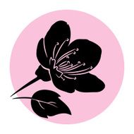 Sakura Circle N2