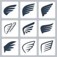 Vector wings icons set