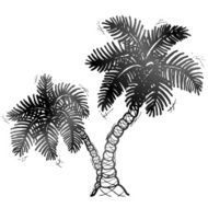 Hand drawn palm tree N2