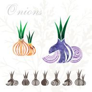 Onion icons