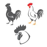 Rooster N37