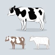 cow N30