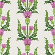 Simple Stencil Style Scottish Thistle In Pink Purple And Green N4