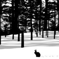 NaturalHabitat