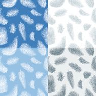 pattern of the feathers