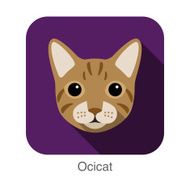 Ocicat Cat Cat breed face cartoon flat icon design