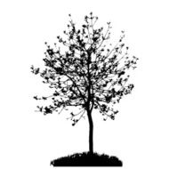 Tree Silhouette Isolated on White Backgorund Vecrtor Illustrati N58