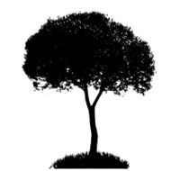 Tree Silhouette Isolated on White Backgorund Vecrtor Illustrati N59