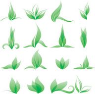 Transparent Green leaf