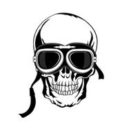 skull illustration N15